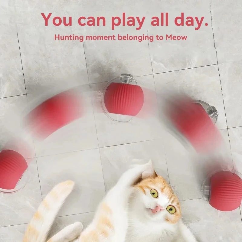 Rolling Ball Cat Toy.