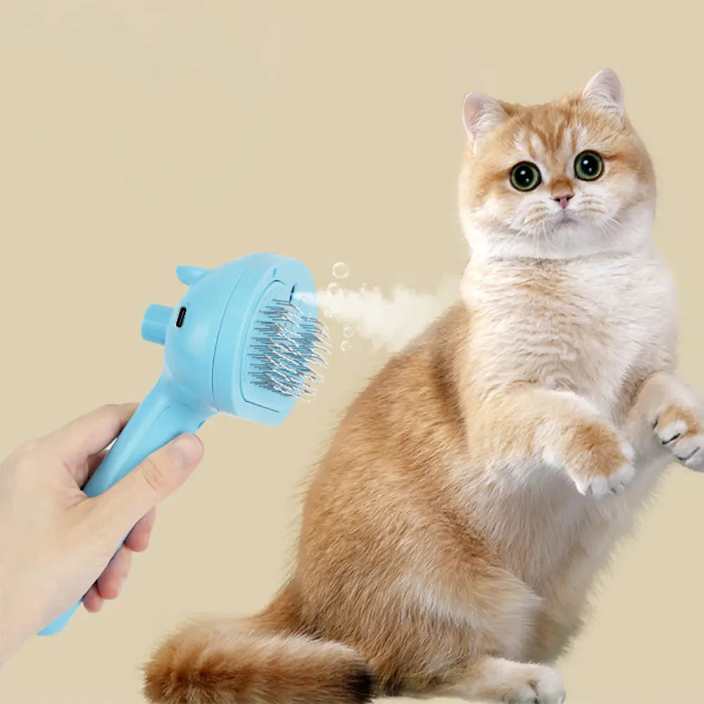 Cat Hairbrush.
