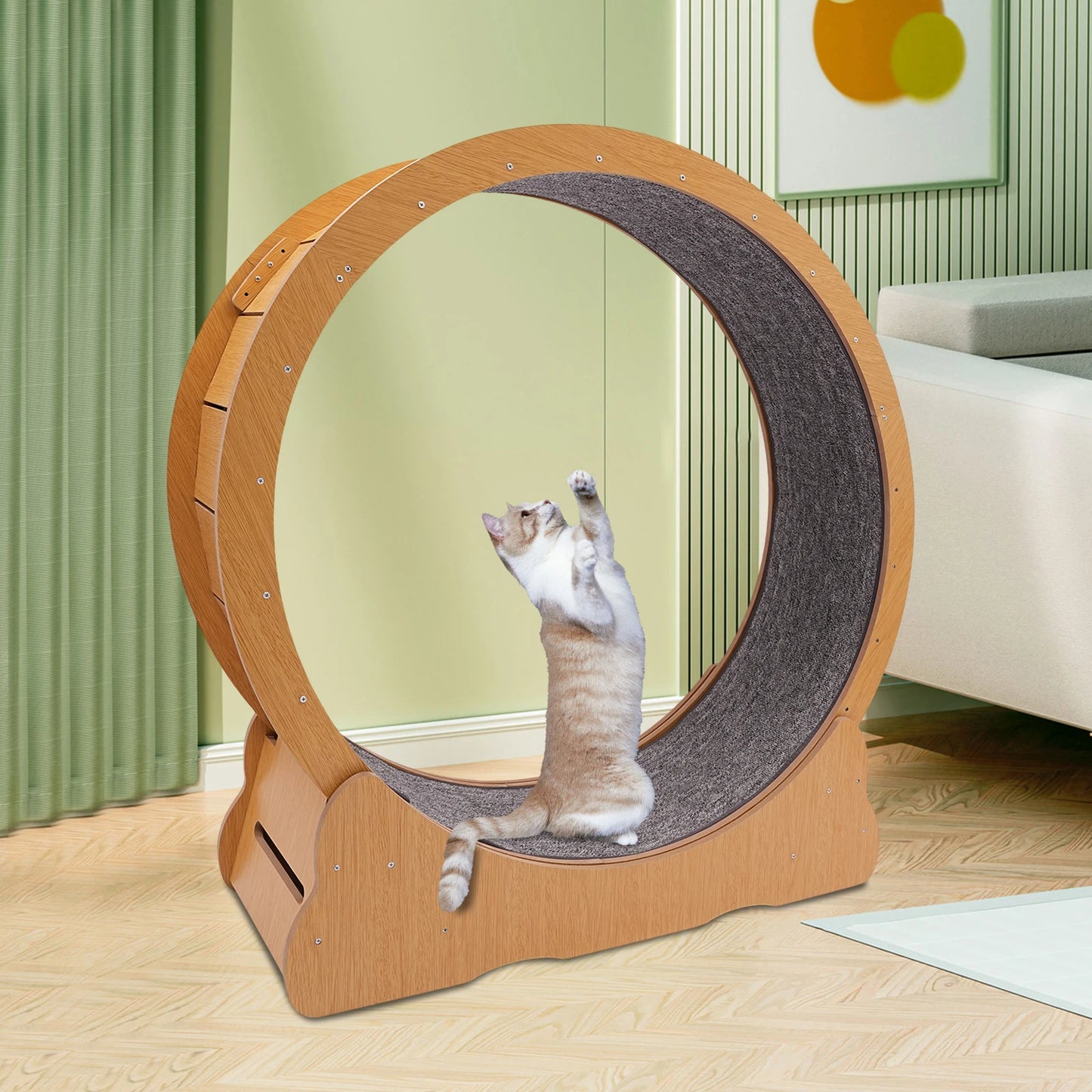 Cat Exercise Wheel Treadmill.