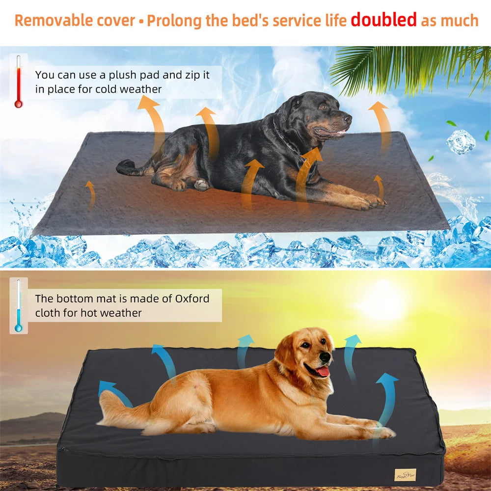 Large Orthopedic Dog Bed.