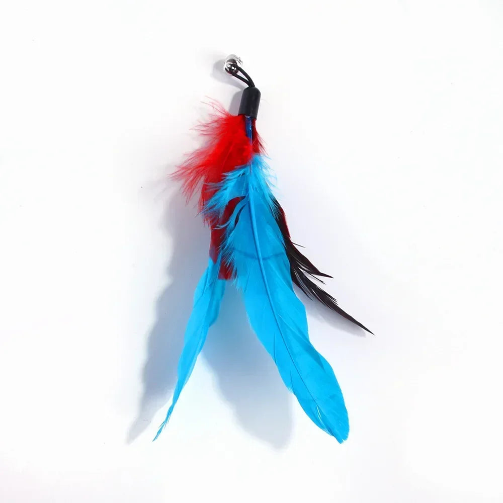 Cat Toy.