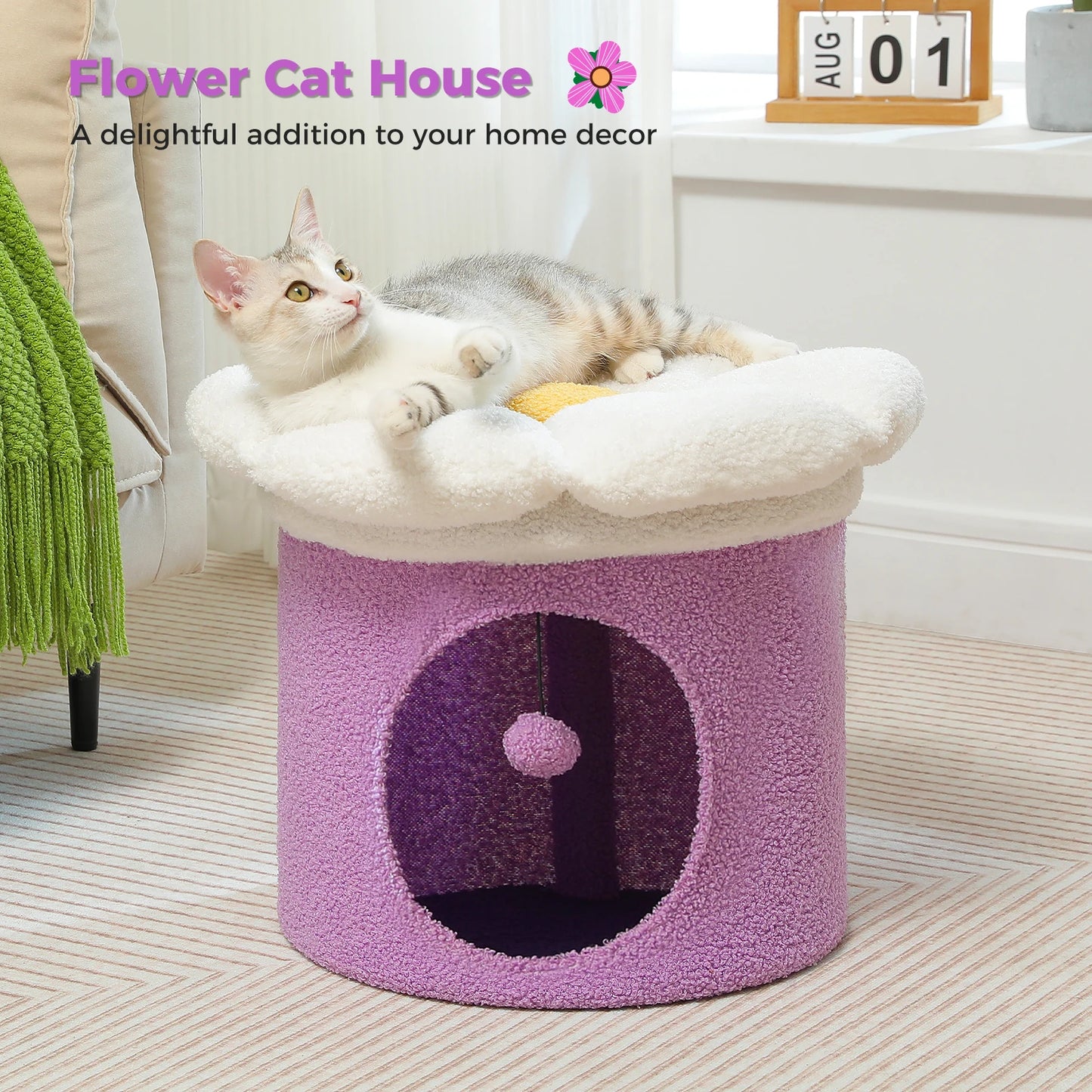 Cat Beds for Indoor Cats.