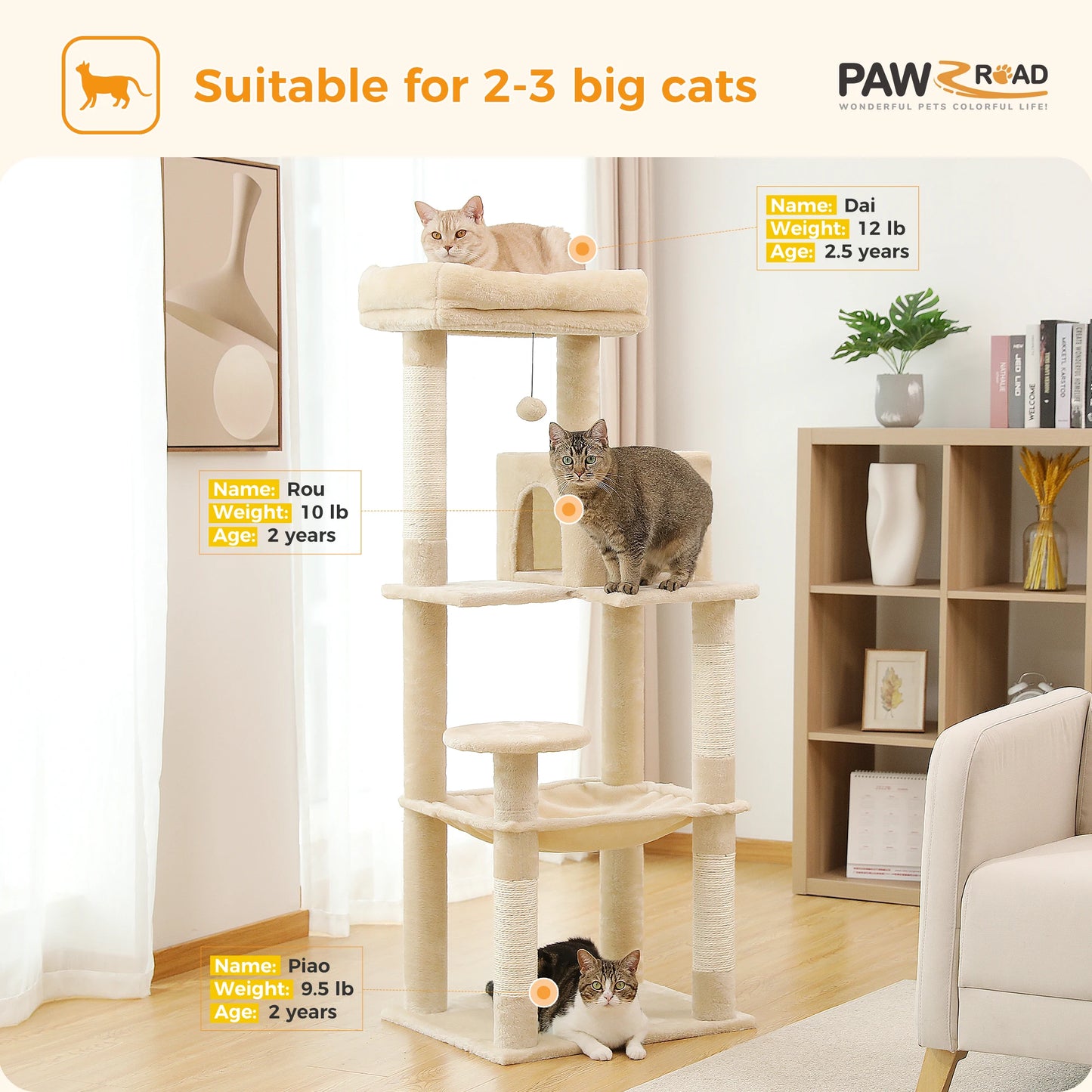Cat Tree for Indoor Cats.