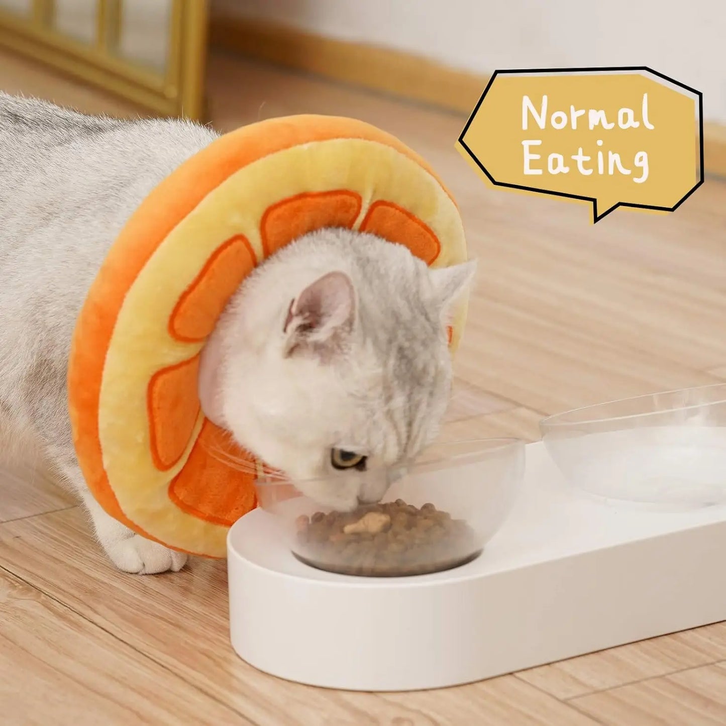 Cat Cone Collar.