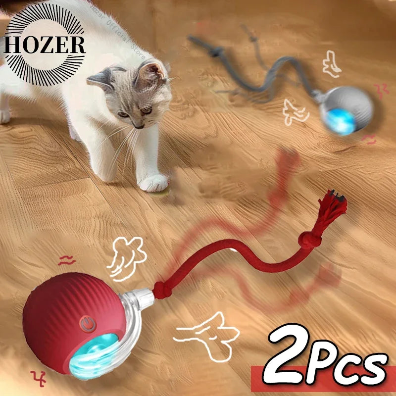 2Pcs Cat Interactive Ball Toys.
