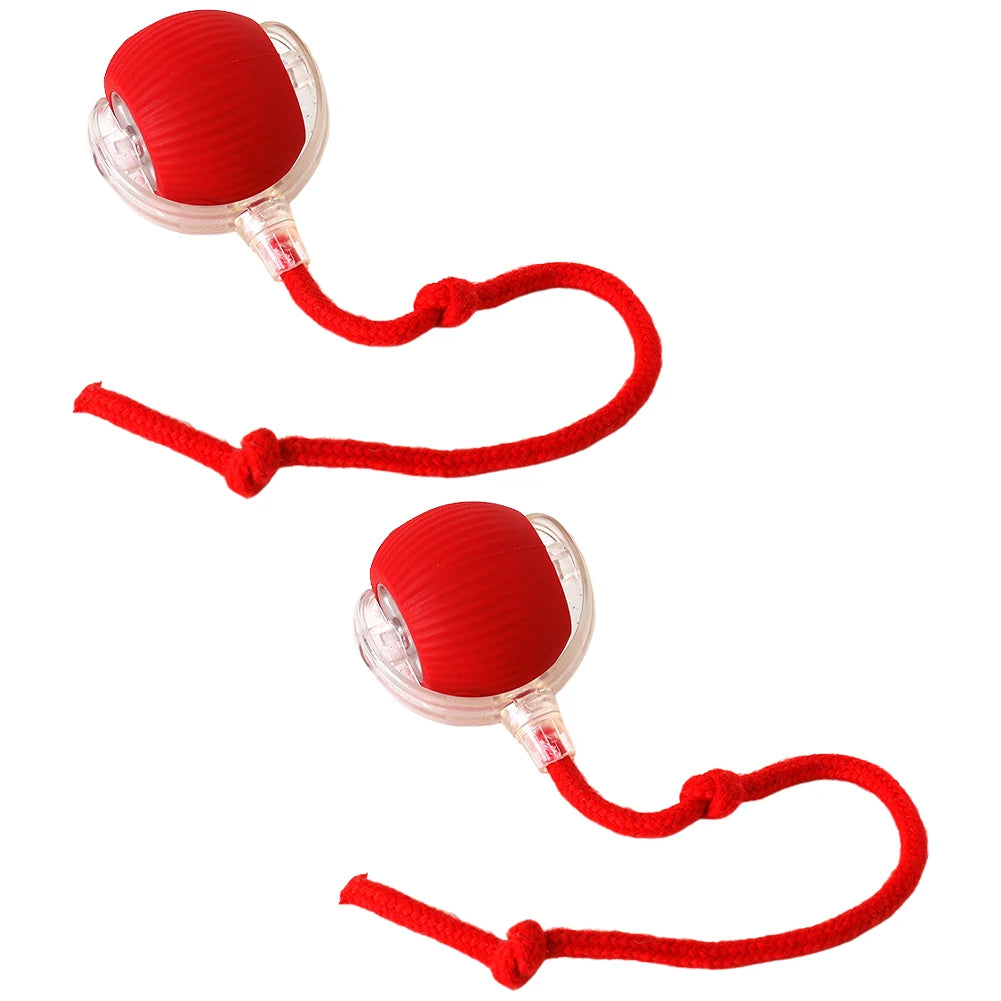 Cat Interactive Ball Toy.
