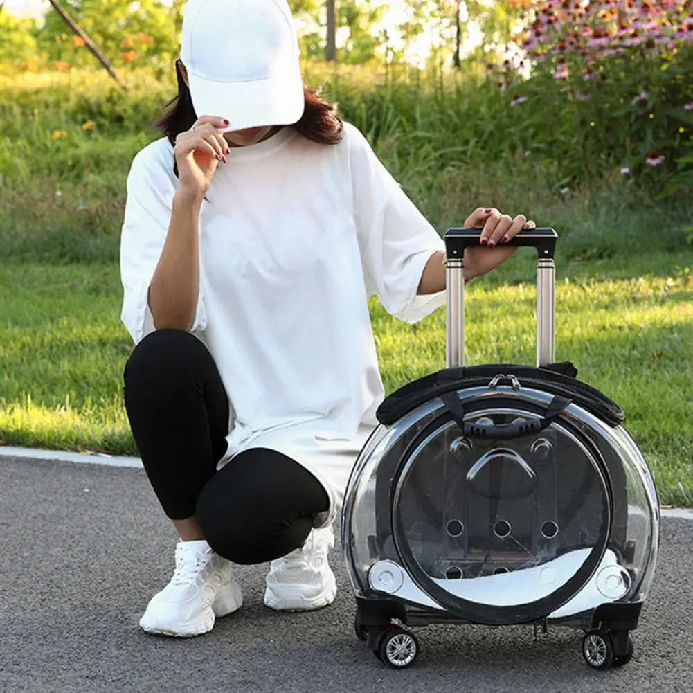 Pet Trolley.