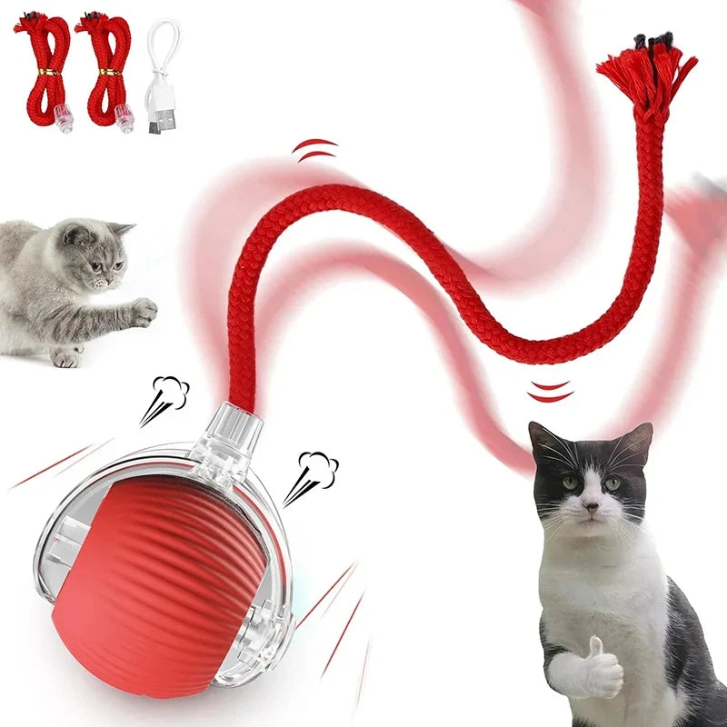 Rolling Ball Cat Toy.