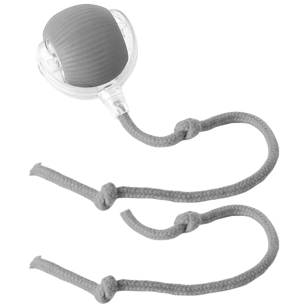 Cat Interactive Ball Toys.