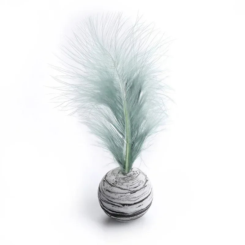 Cat Toy Ball Feather.