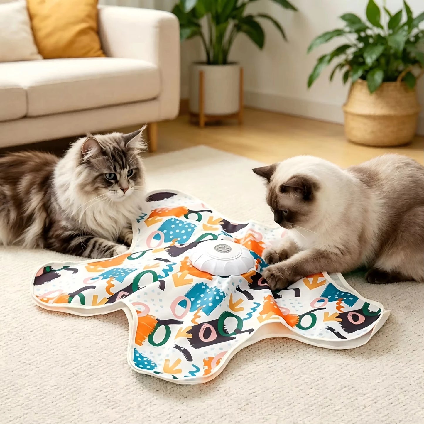 Cat Toy Hide and Seek.