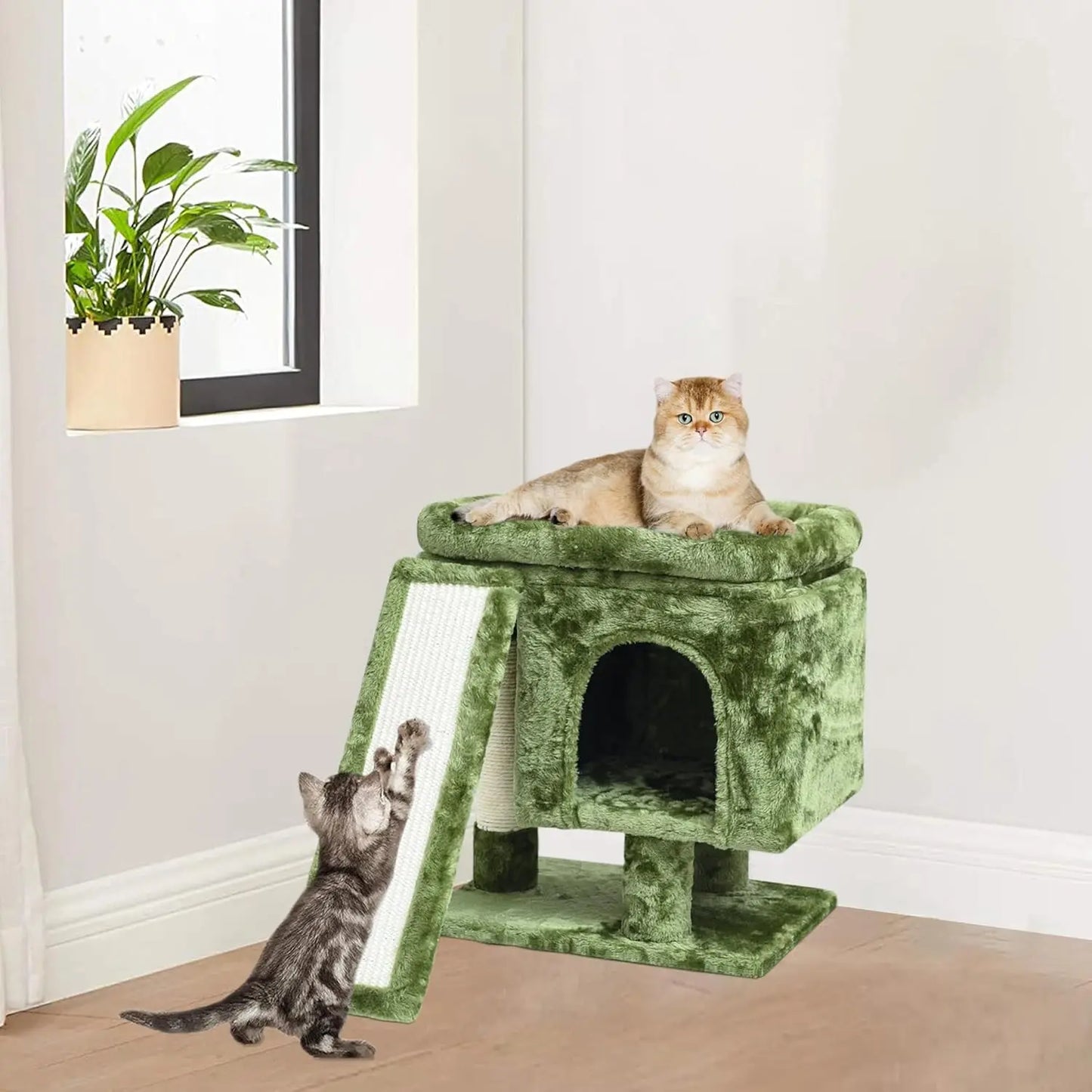 Small Cat Tower.
