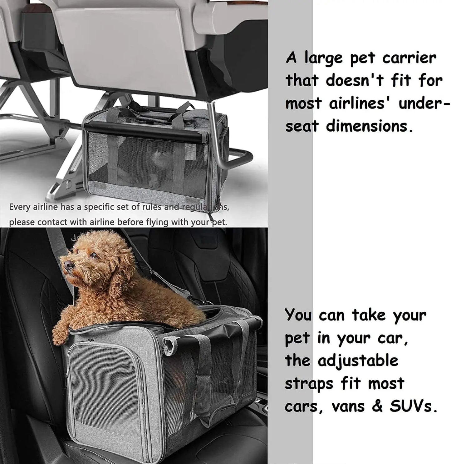 Pet Carrier for Large Cats.