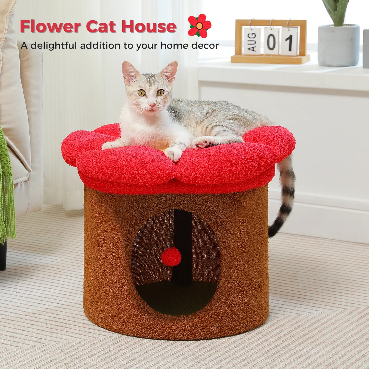 Cat Beds for Indoor Cats.