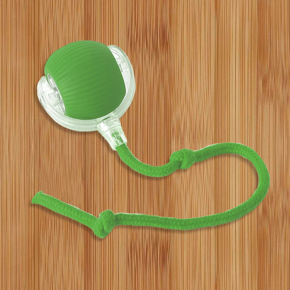 Cat Interactive Ball Toys.