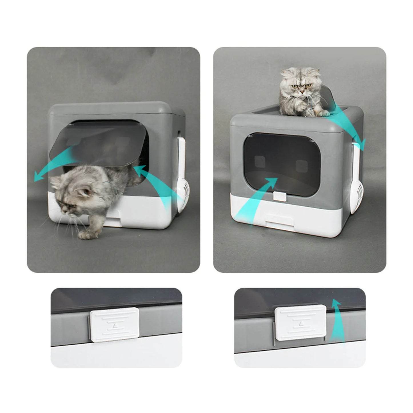 Cat Litter Box.