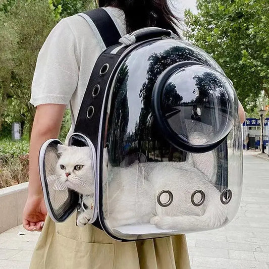 Pet Cat Carrying Bag.