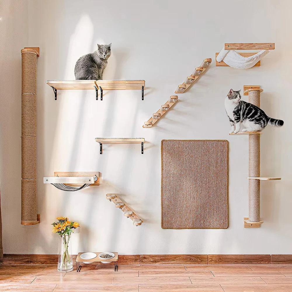 Cat Climbing Shelf Wall.
