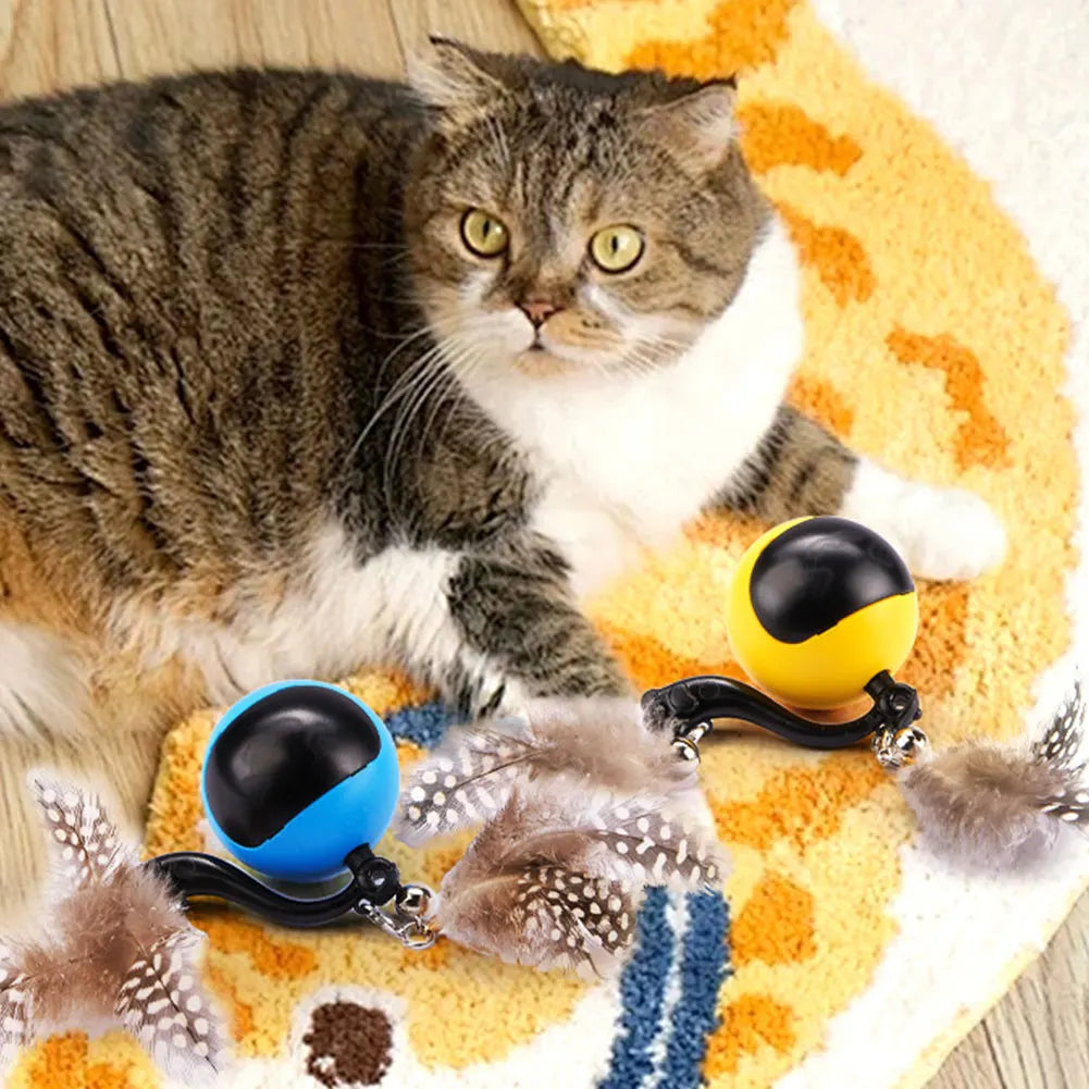 Cat Interactive Ball.