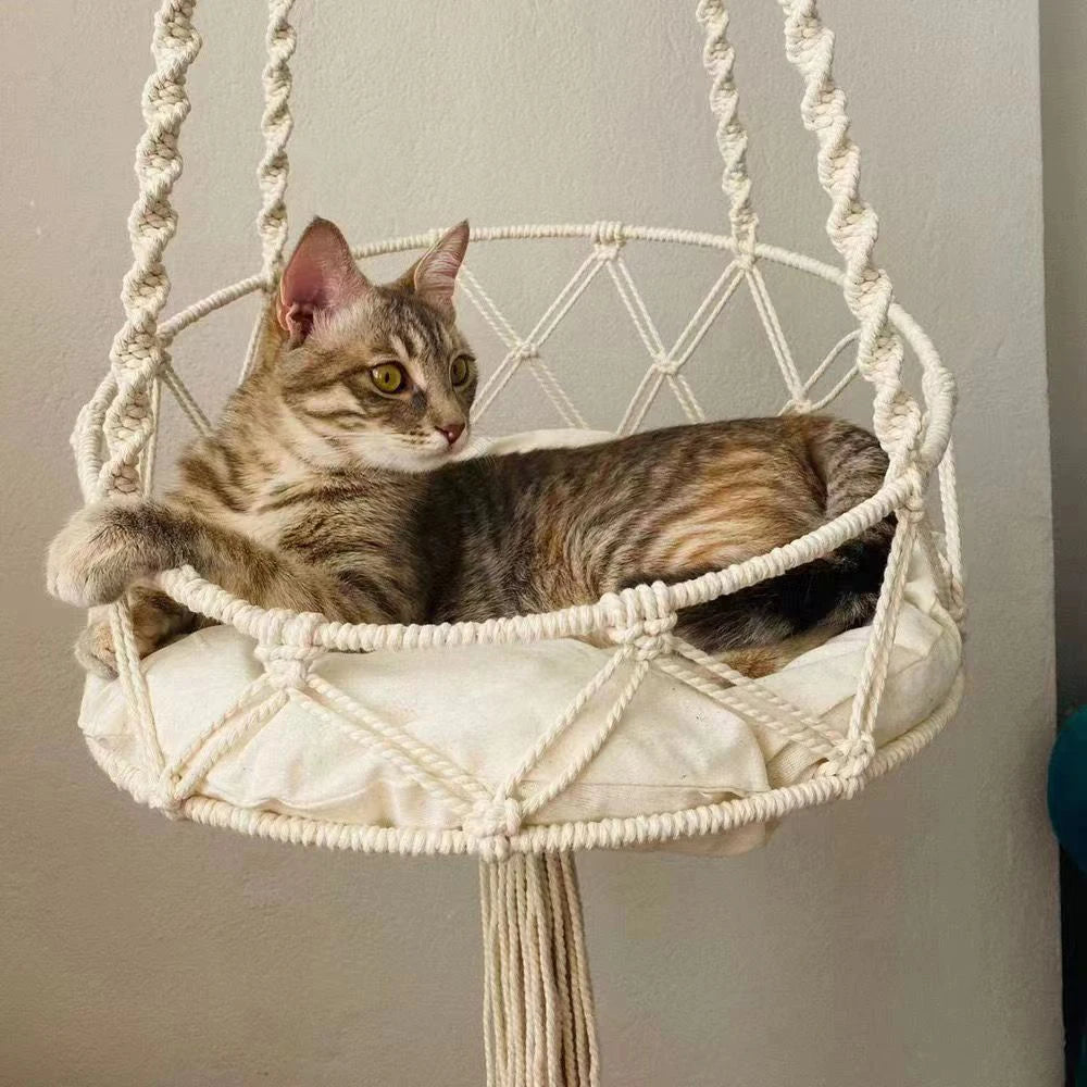 Cat & Kitten Hammock.