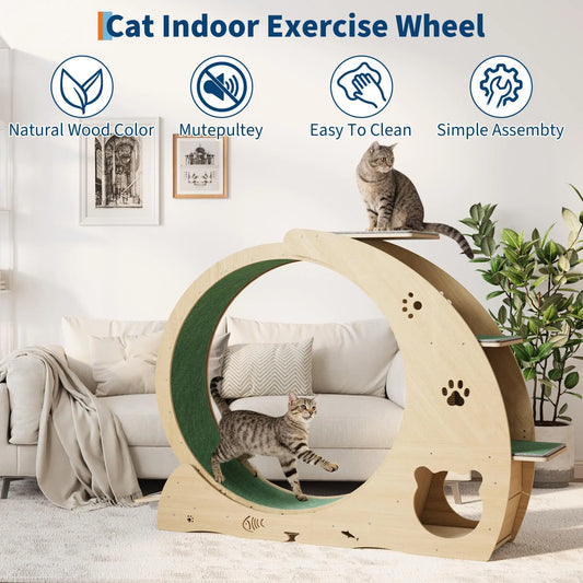 Cat Exercise Wheel.