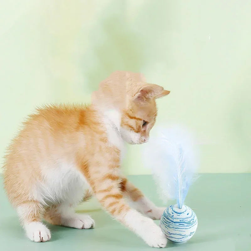 Cat Toy Ball Feather.