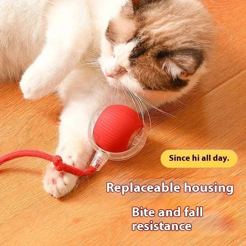 Rolling Ball Cat Toy.