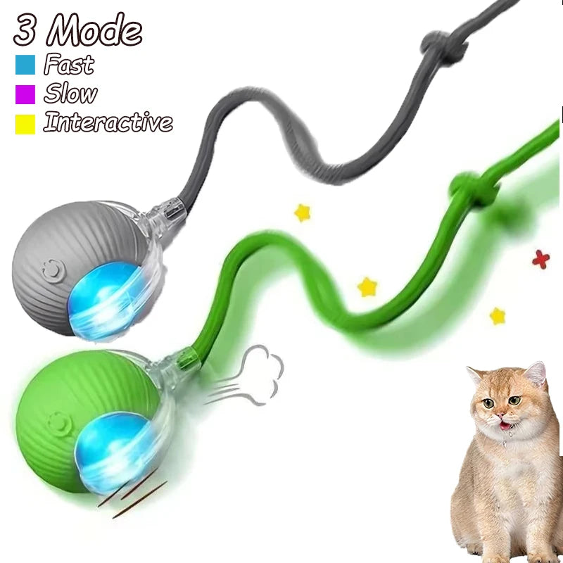 2Pcs Cat Interactive Ball Toys.