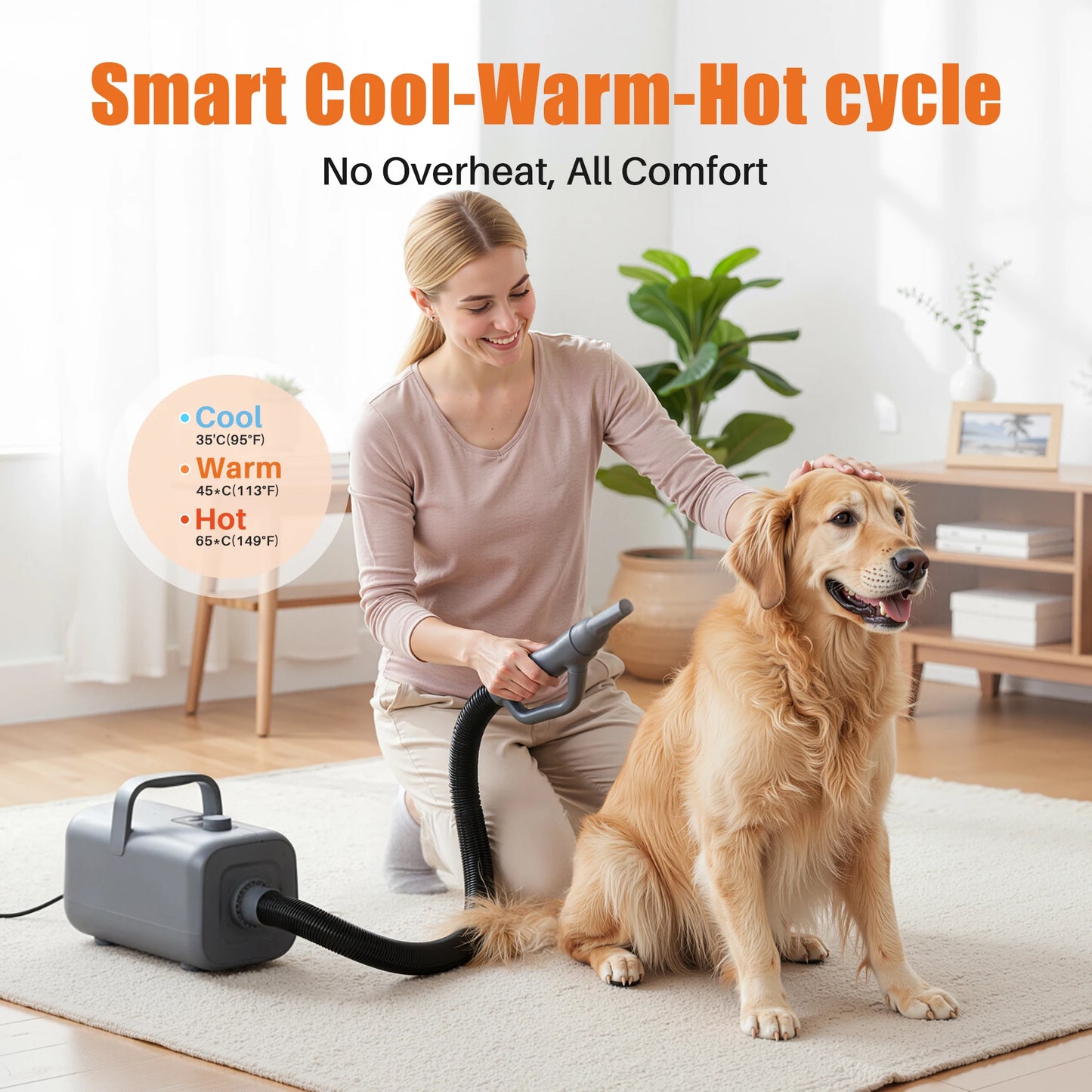 Pet Blow Dryer.