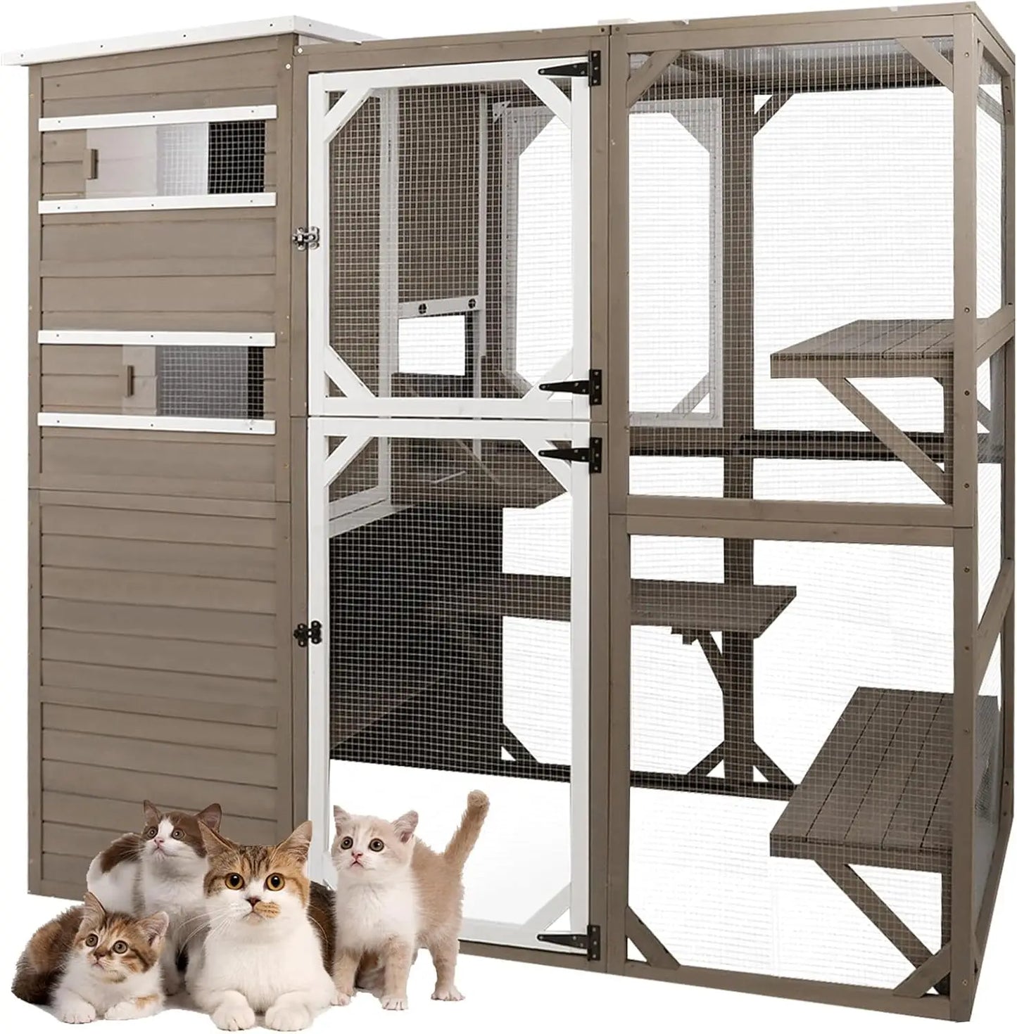 Outdoor Cat Cage.