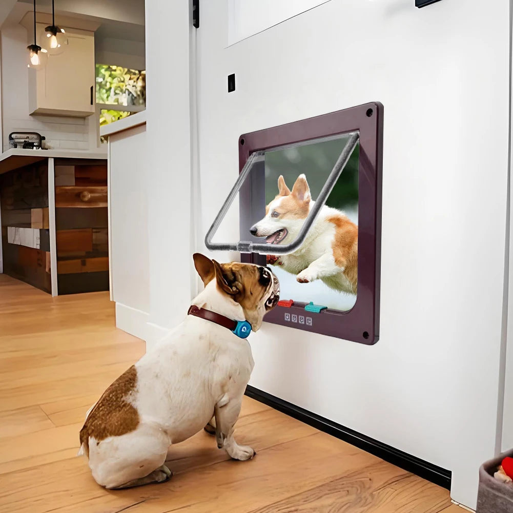 Cat Safety In and Out Pet Door.
