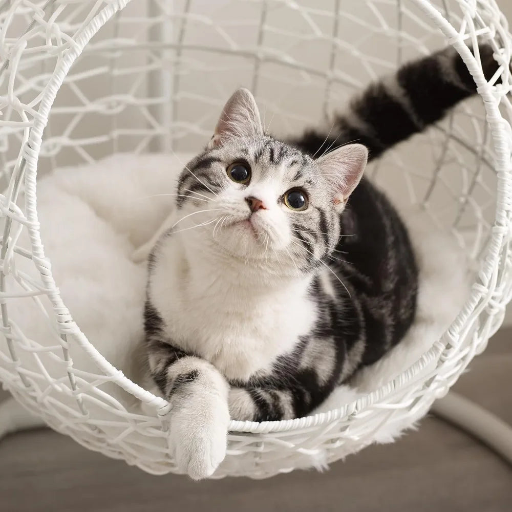 Hanging Egg Cat Condo.