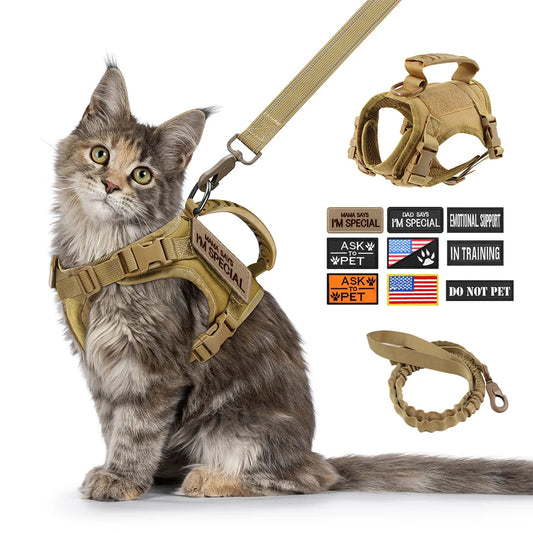 Tactical Cat Harness Leash.