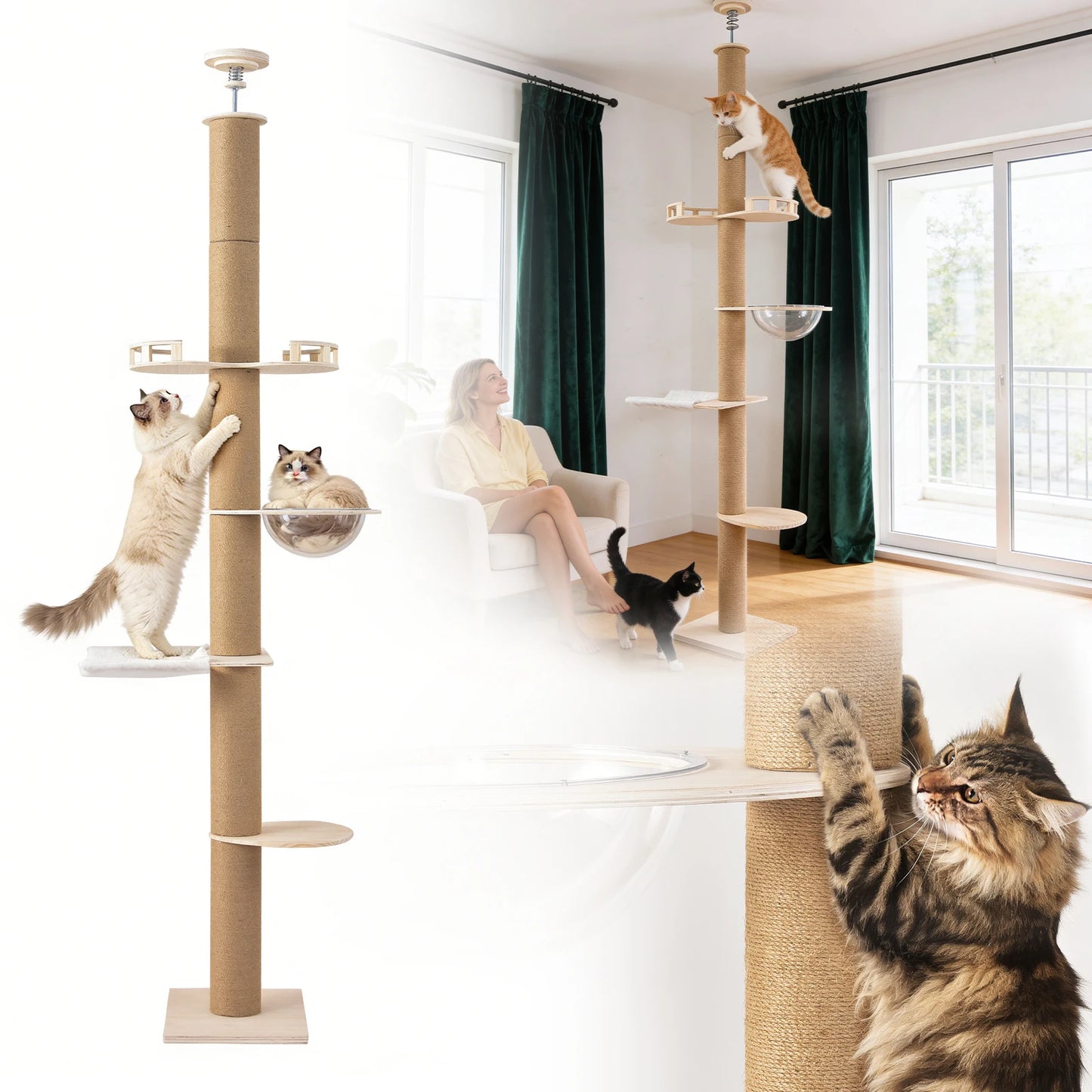 Floor To Ceiling Cat Tree.