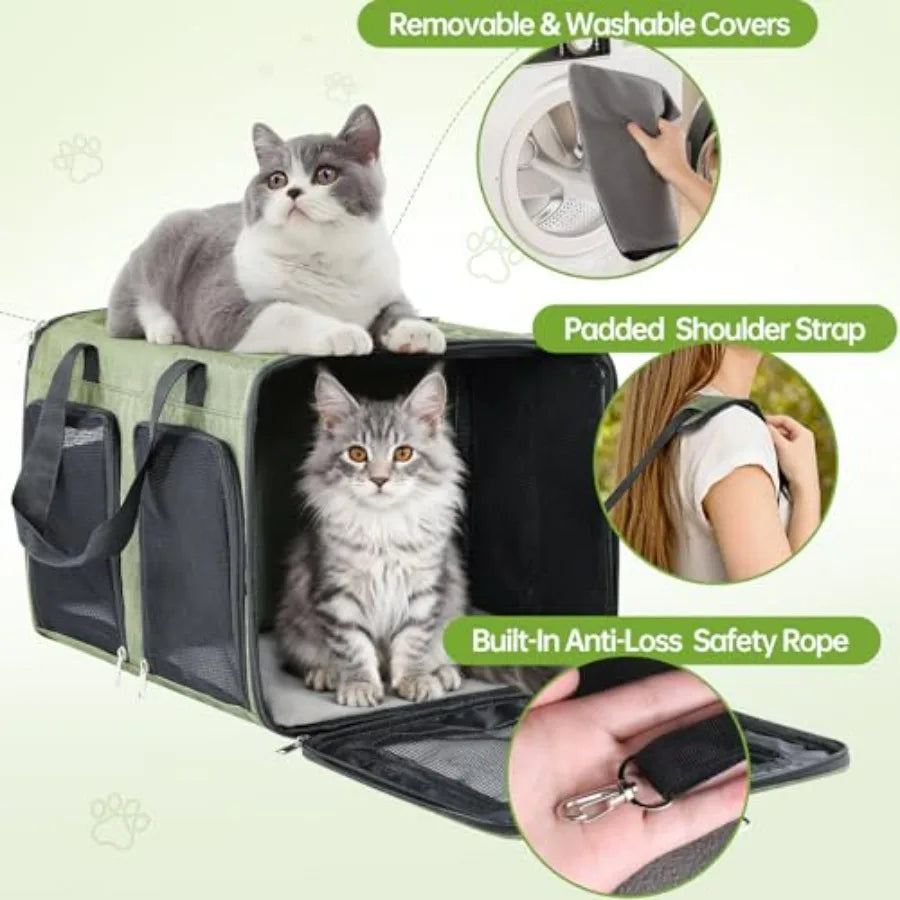 Cat Carrier for 2 Cats.