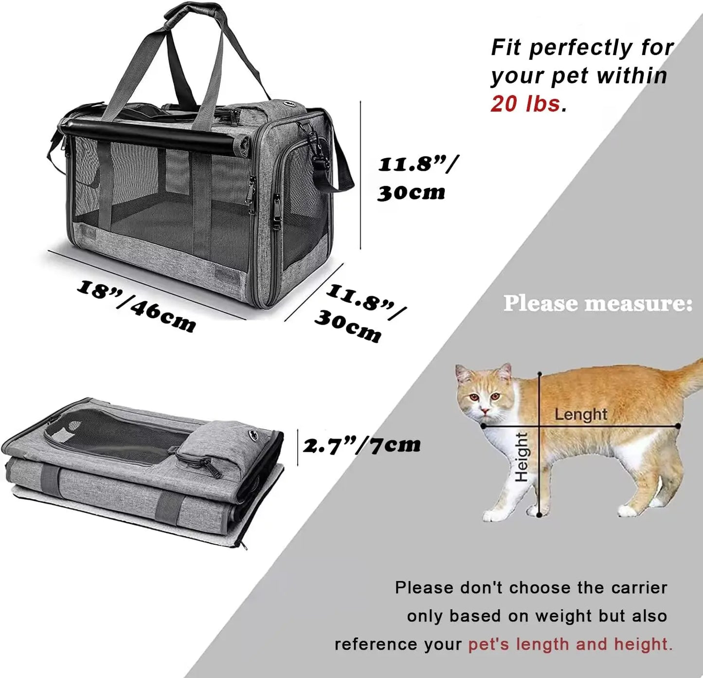 Pet Carrier for Large Cats.