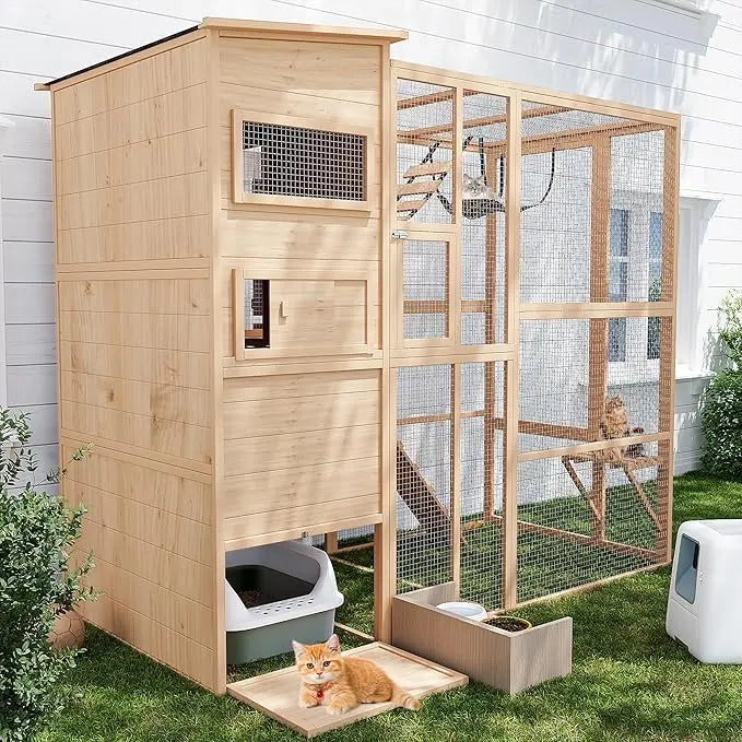 Outdoor Cat Enclosure.