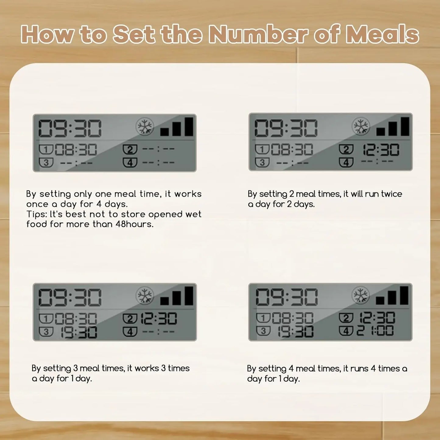 Automatic Cat Feeder.