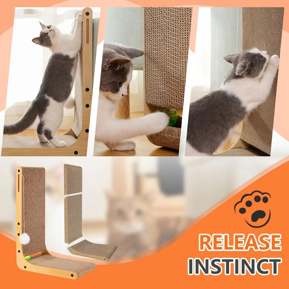 Cat Scratcher.