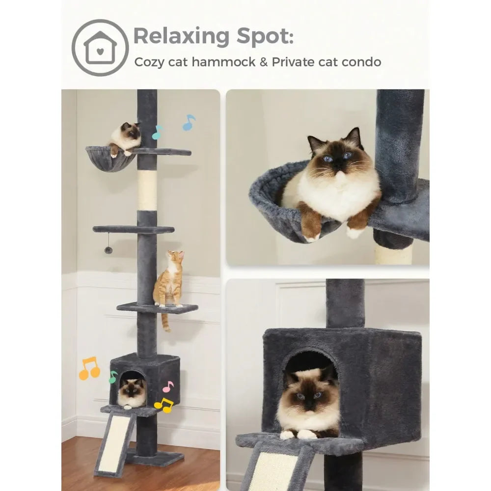 Cat Tree Floor to Ceiling.