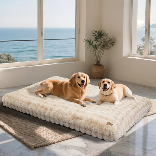 Ultra-Soft Plush Dog Bed.