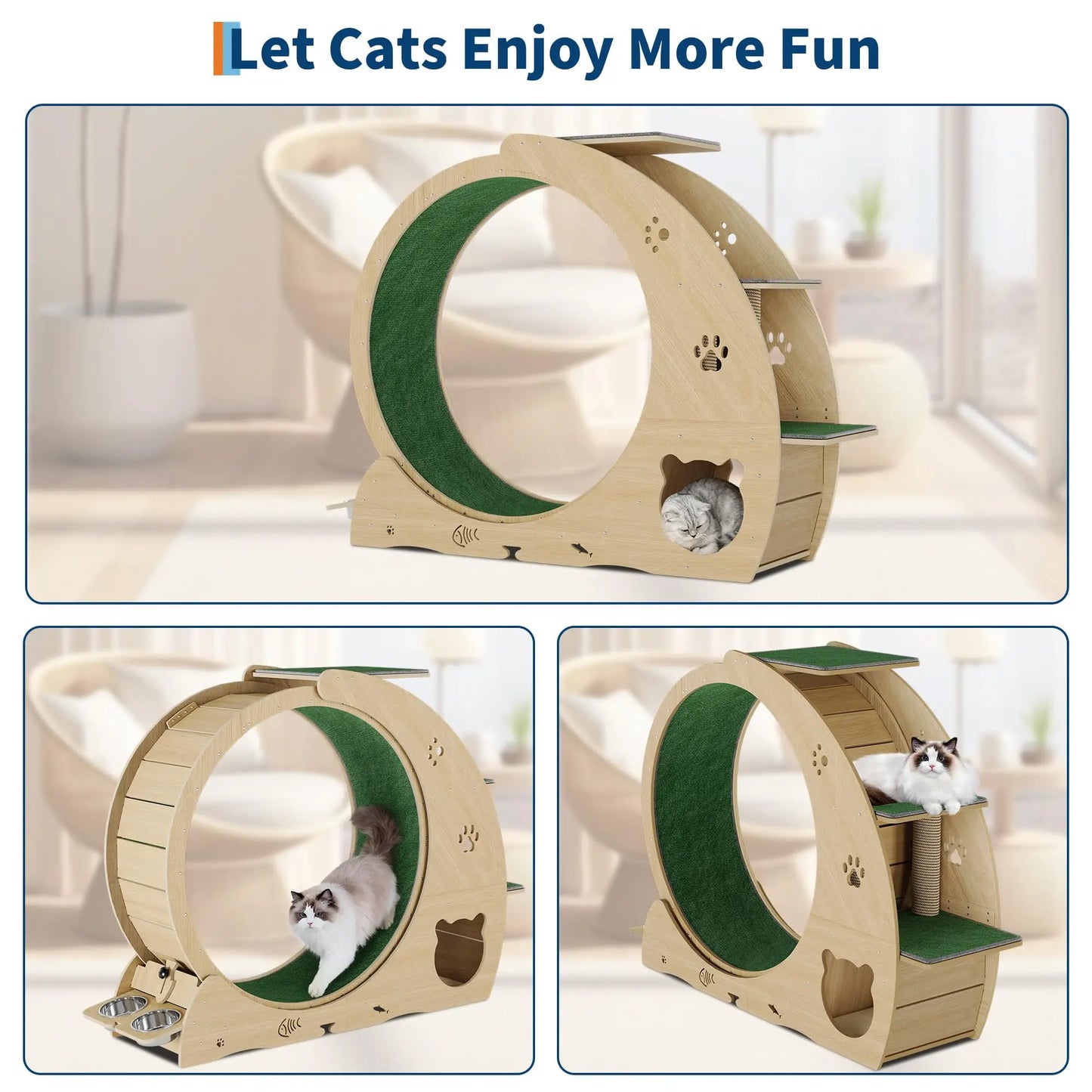 Cat Exercise Wheel.