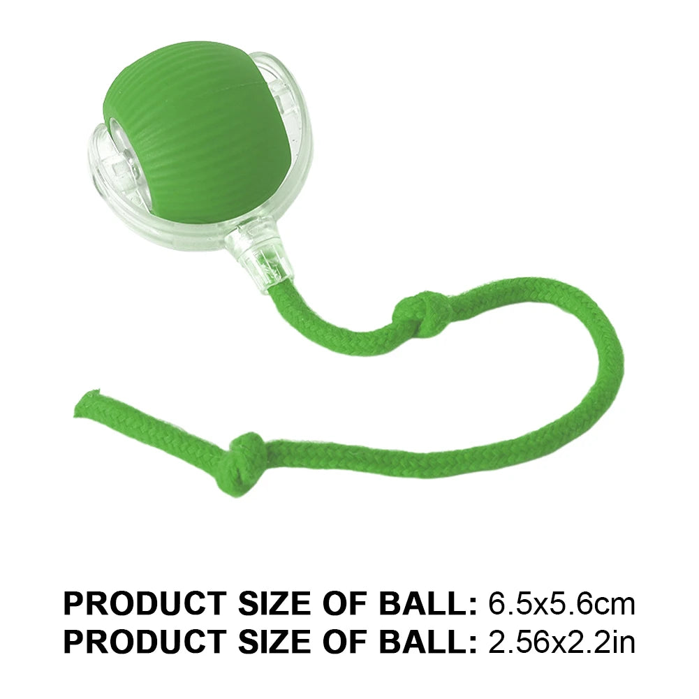 Cat Interactive Ball Toy.