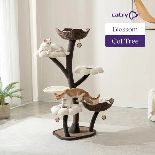 6 Level Cat Tower.