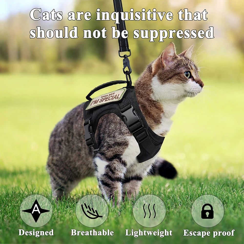 Tactical Cat Harness.