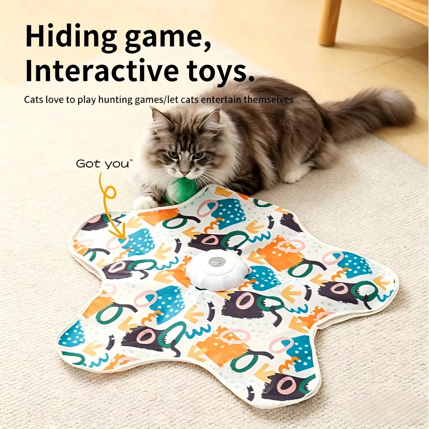 Cat Toy Hide and Seek.