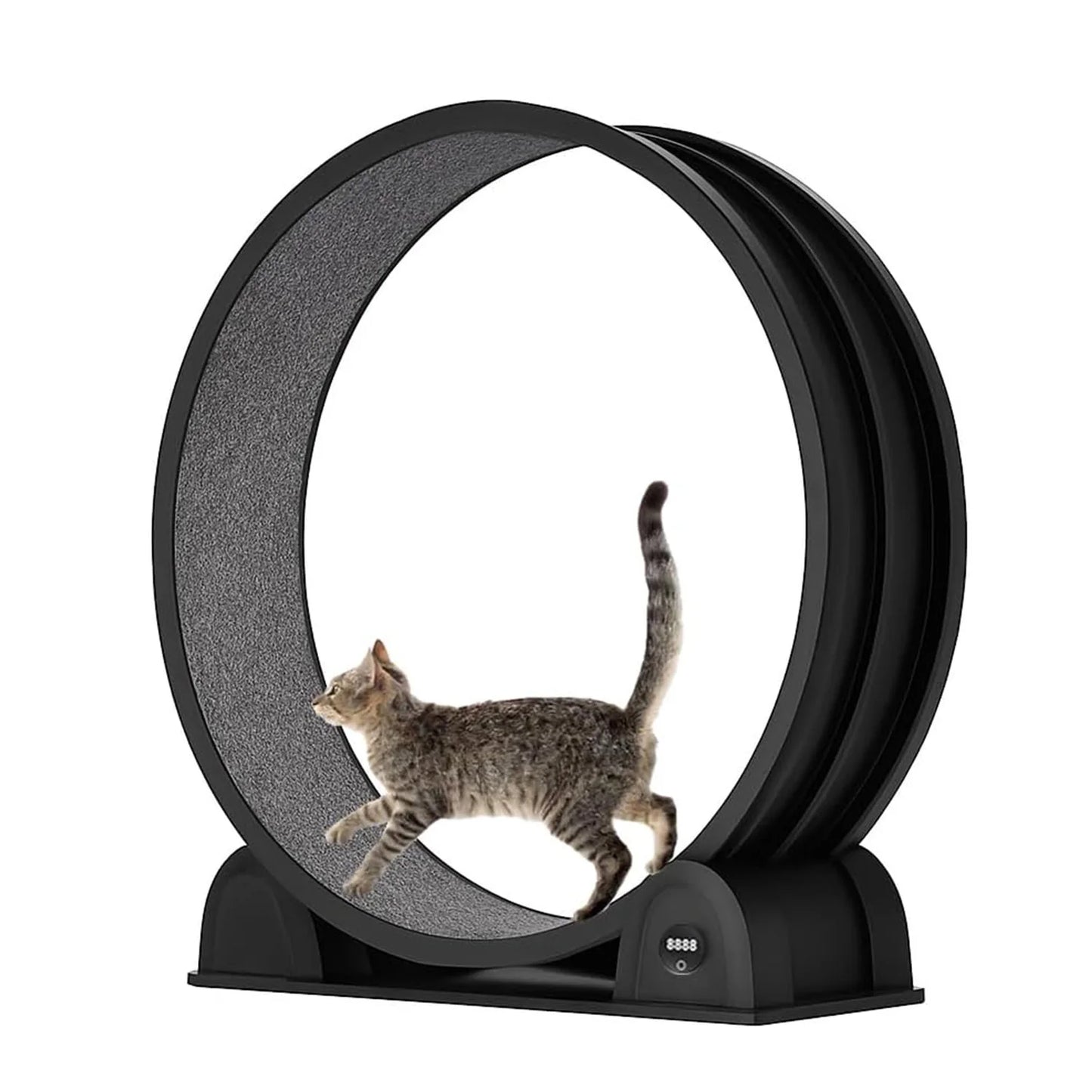 Cat Exercise Wheel.