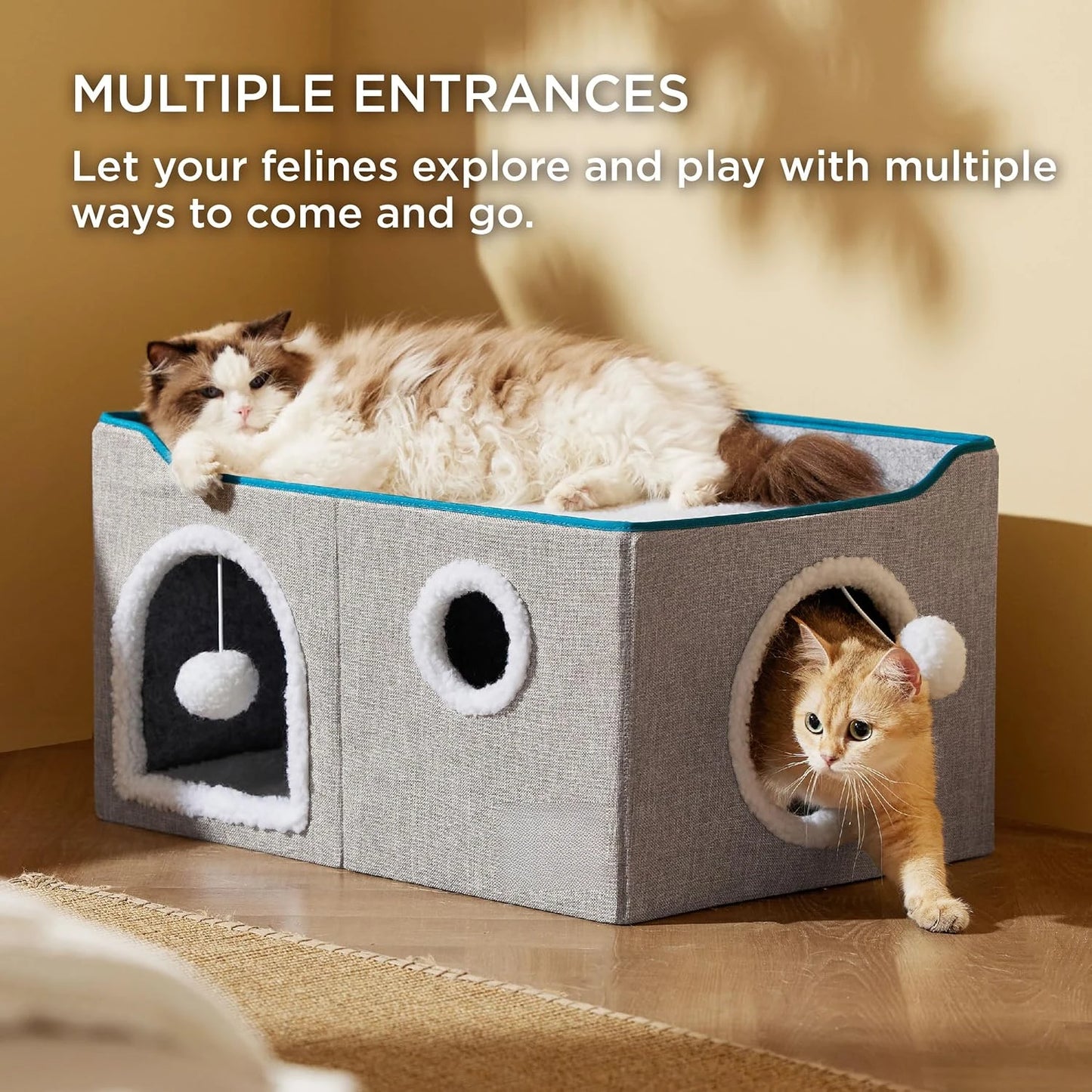 Wide Cat House.