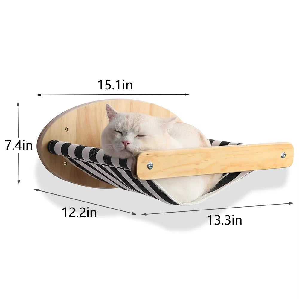 Cat Climbing Shelf Wall.