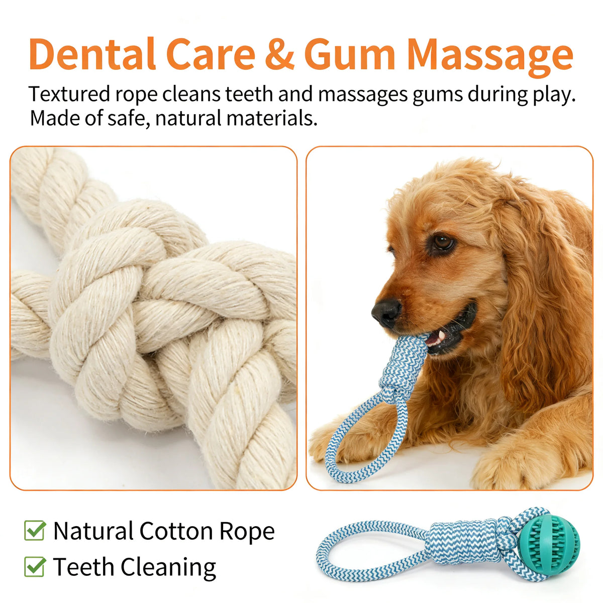 Dog Chew Toy with Treat.